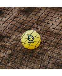 Spikeball Standard Balls - 2 pack