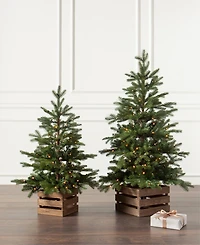 Balsam Hill 3 ft Country Farm Pre-Lit Fir Tree