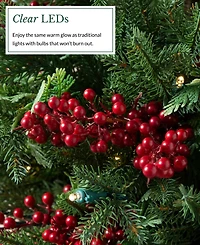 Balsam Hill 4 ft Outdoor Berry Pre-Lit Potted Tree