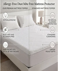 Ella Jayne Allergy-Free Dust Mite Free Mattress Protector