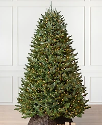 Balsam Hill 9' Pre-Lit Fraser Fir Ledc Artificial Christmas Tree