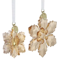Swarovski 2026 Festive Annual Edition 2-Piece 3D Ornament Set