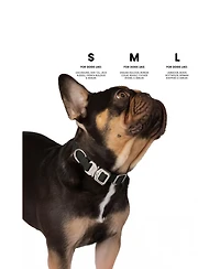 Nandog The Waterproof Poly-Flex Sport Dog Collar