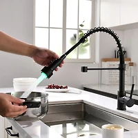 Thirtypeachy Single Handle Pull-Down Kitchen Faucet with Led Sprayer, High Arc 360degree(s) Swivel Commercial Sink Tap