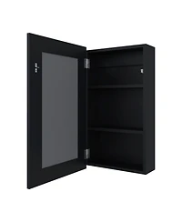 Fm Furniture Parks medicine cabinet with mirror