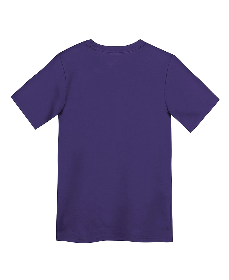 Nike Toddler Boys' 2T-5T Minnesota Vikings Legend Icon T-Shirt