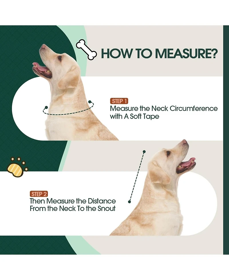 Soft Mesh and Transparent Pvc Recovery Cone Collar for Dogs
