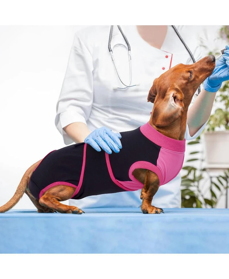 Cotton-Spandex Post-Surgery Recovery Bodysuit Onesie for Dogs