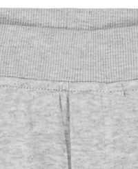 Tommy Hilfiger Toddler Boys' 2T-5T Hooded Fleece Hoodie and Joggers, 2-Piece Set