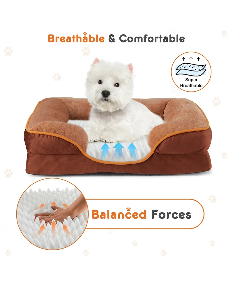 Zeny Memory Foam Pet Bed for Small Dogs and Cats with Washable Removable Cover Non-Slip Base Waterproof Liner