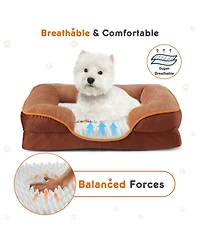 Zeny Memory Foam Pet Bed for Small Dogs and Cats with Washable Removable Cover Non-Slip Base Waterproof Liner