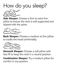 Blue Ridge White Down 1000 Thread Count Egyptian Cotton Pillows