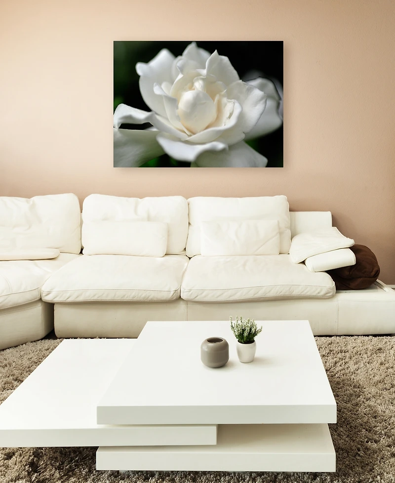 Kurt Shaffer 'Lovely Gardenia' Canvas Art