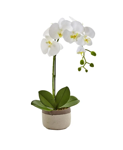 Nearly Natural Artificial Phalaenopsis Orchid in Ceramic Pot