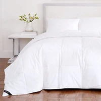 J Queen New York Royalty Allergen Barrier Down Alternative 233 Thread Count Cotton Comforters