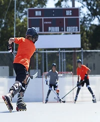 Franklin Sports Nhl 54" Steel Street Hockey Goal