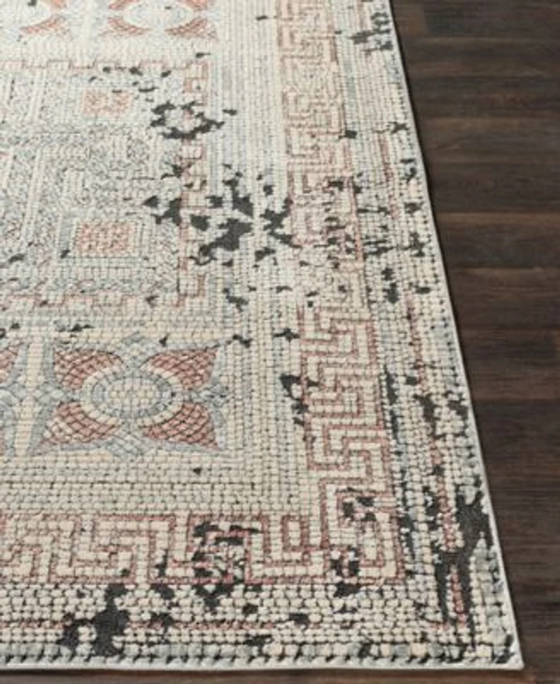 Livabliss Venezia Vnz 2301 Rose Area Rug Collection