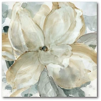 Courtside Market Crean Petals Gallery-Wrapped Canvas Wall Art - 16" x 16"