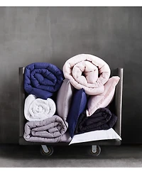 Truly Soft Everyday Solid 3-Pc. Comforter Set