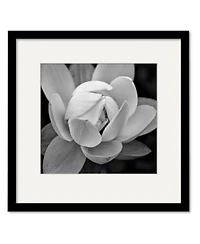 Courtside Market Giardia Framed Matted Art Collection