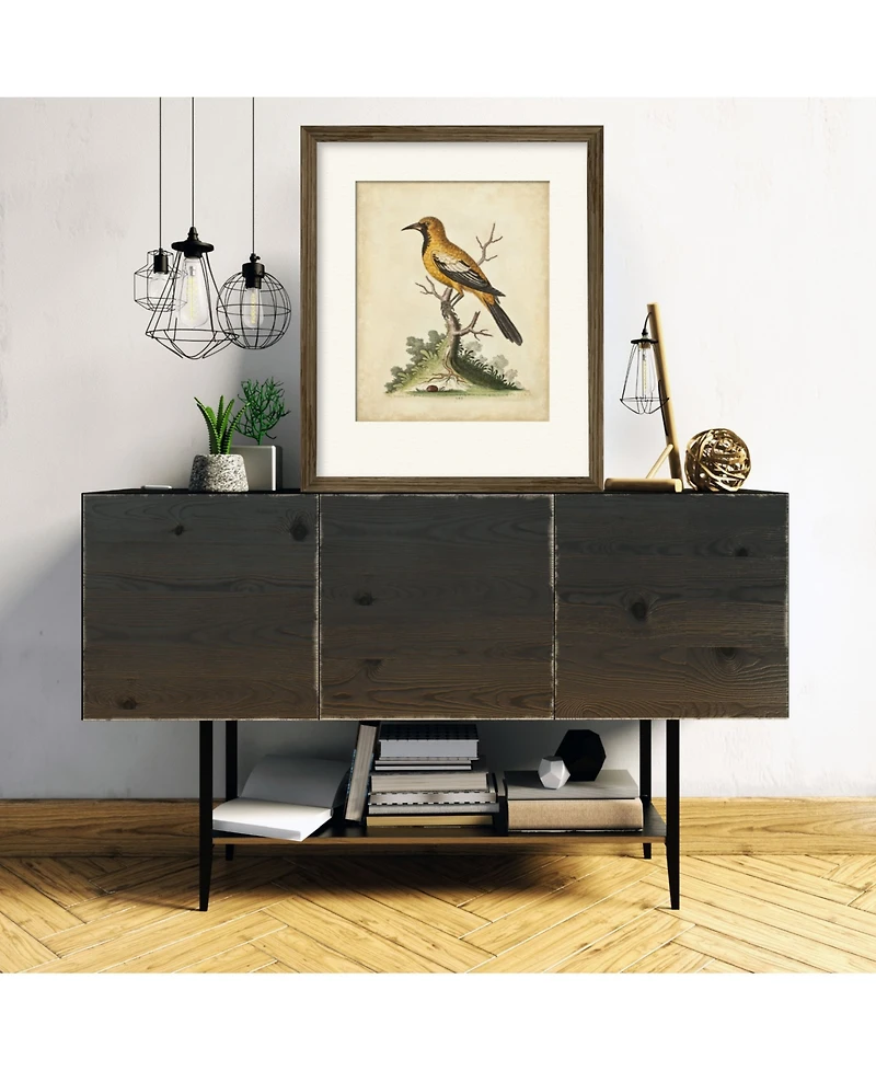 Courtside Market Edwards Gold Finch 16" x 20" Framed and Matted Art