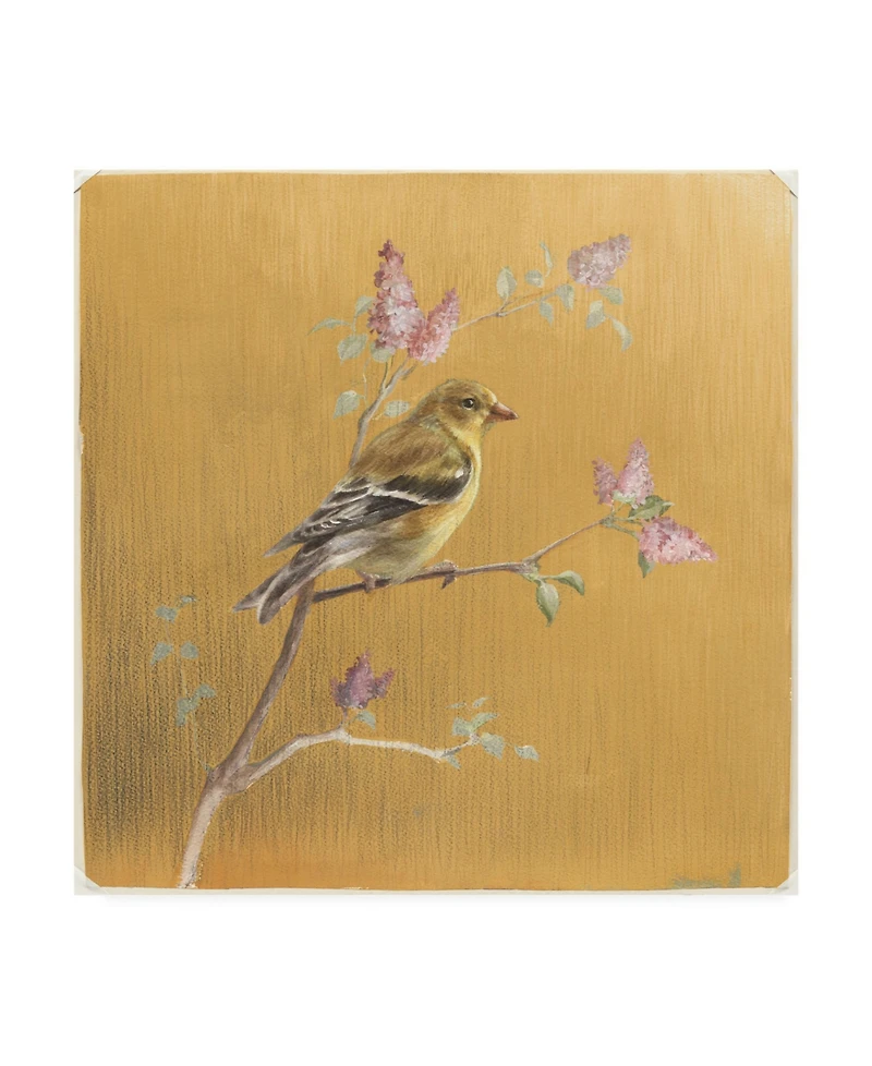 Danhui Nai Female Goldfinch on Gold Canvas Art - 15.5" x 21"