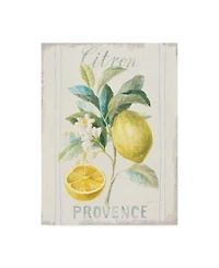 Danhui Nai Floursack Lemon Iv Canvas Art - 20" x 25"