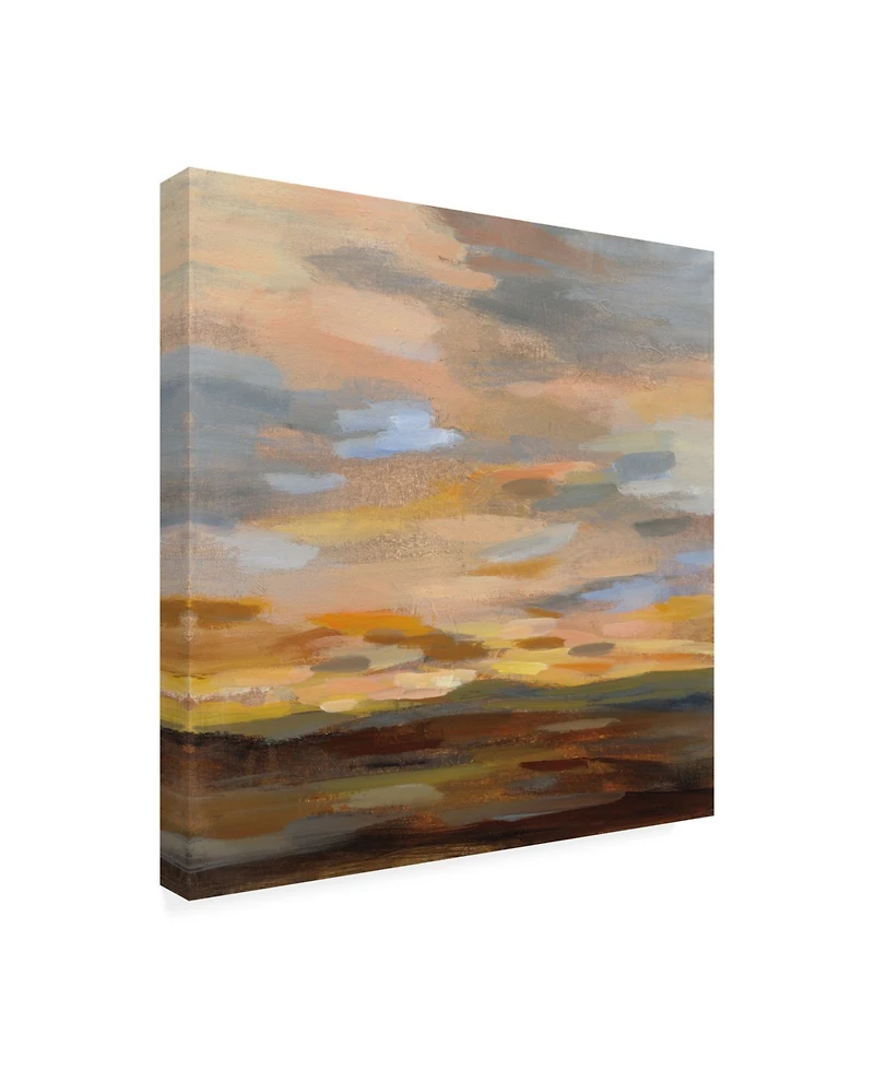 Silvia Vassileva High Desert Sky Iii Canvas Art - 19.5" x 26"