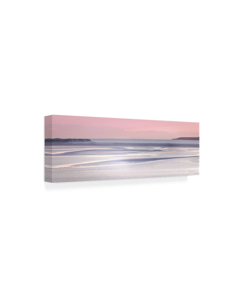 Lynne Dougla Silver Sands Canvas Art - 27" x 33.5"