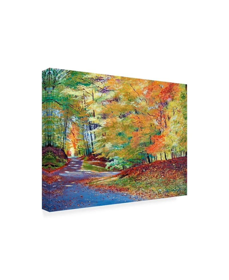 David Lloyd Glover Walking in Autumn Canvas Art - 15" x 20"
