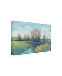 Tim OToole Hidden Stream I Canvas Art - 36.5" x 48"