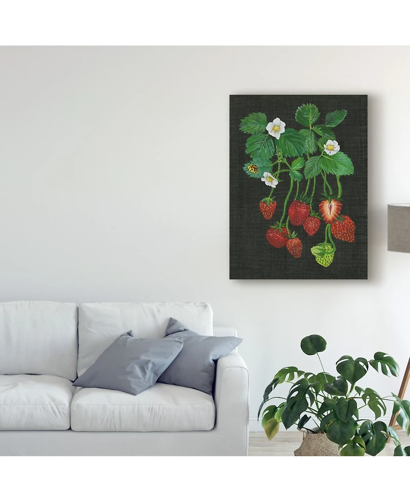 Melissa Wang Strawberry Fields Ii Canvas Art - 20" x 25"