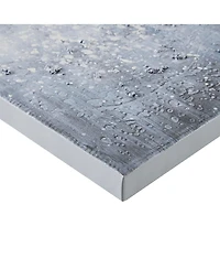 Madison Park Winter Glaze Heavy Textured Canvas with Glitter Embellishment 2-Pc Set