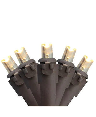 Northlight Set of 50 Warm White Led Wide Angle Christmas Lights - Brown Wire