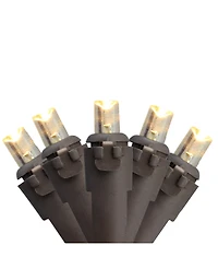 Northlight Set of 50 Warm White Led Wide Angle Christmas Lights - Brown Wire