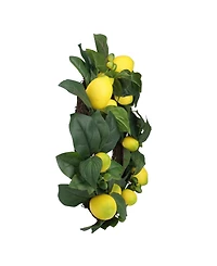 Northlight Lemon and Green Foliage Spring Wreath 22-Inch