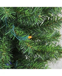 Northlight 2' Pre-Lit Led Canadian Pine Artificial Christmas Tree - Multi Lights