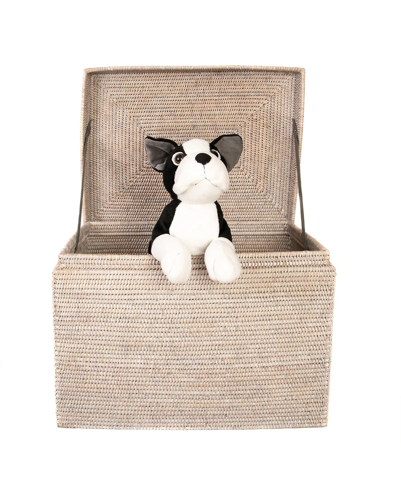 Artifacts Rattan Rectangular Hinged Chest/Trunk