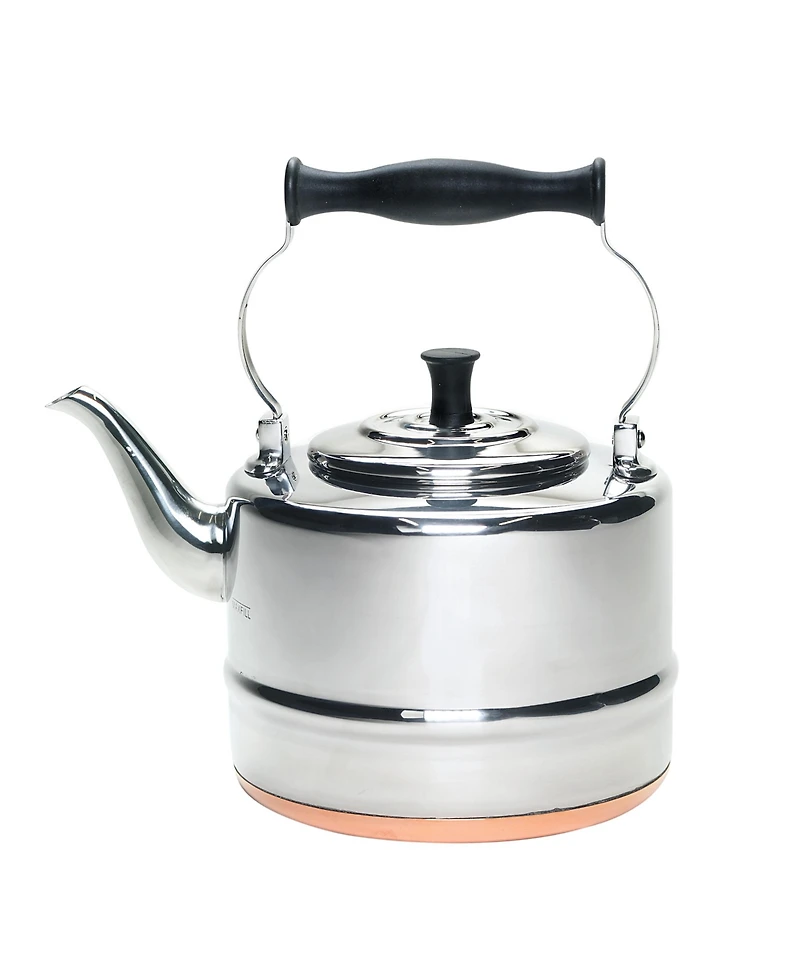 BonJour Stainless Steel and Copper-Base 2-Qt. Gooseneck Tea Kettle