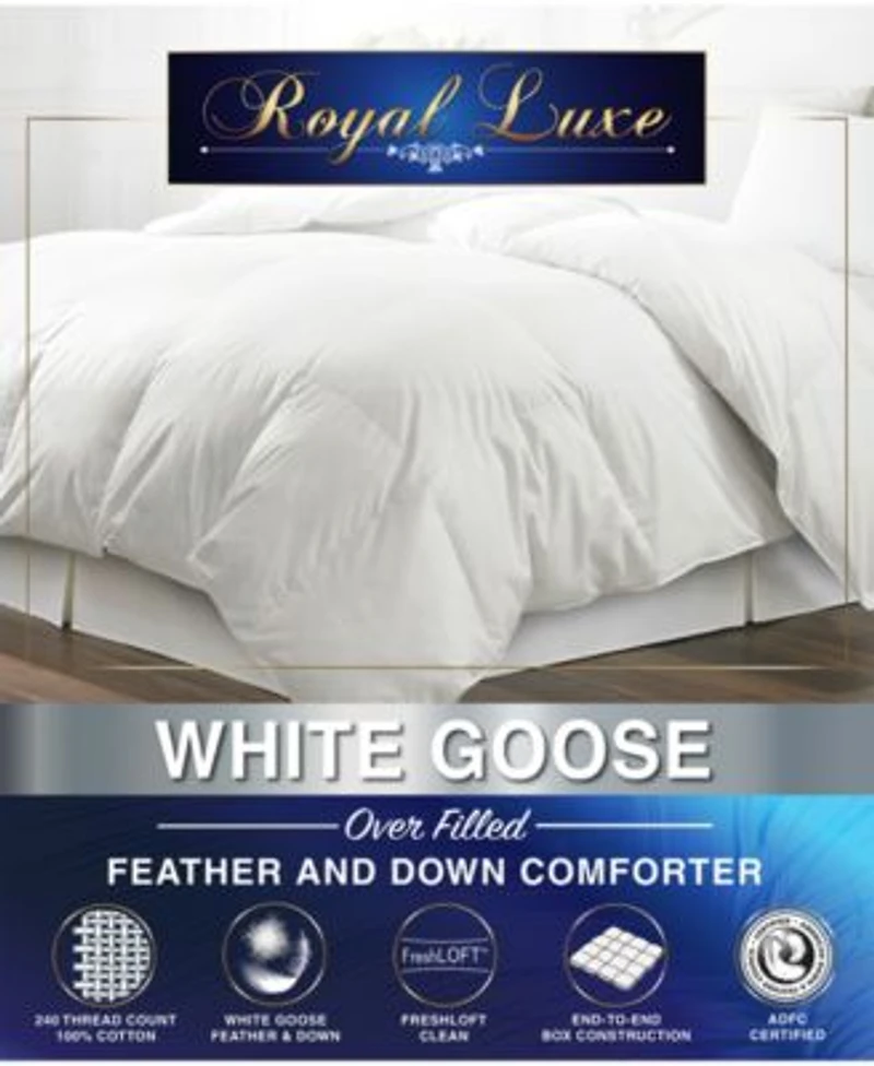 Royal Luxe White Goose Feather Down 240 Thread Count Comforters Exclusively At Macys