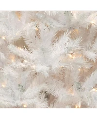 National Tree Company 6.5' Winchester White Pine Tree with 400 Clear Lights