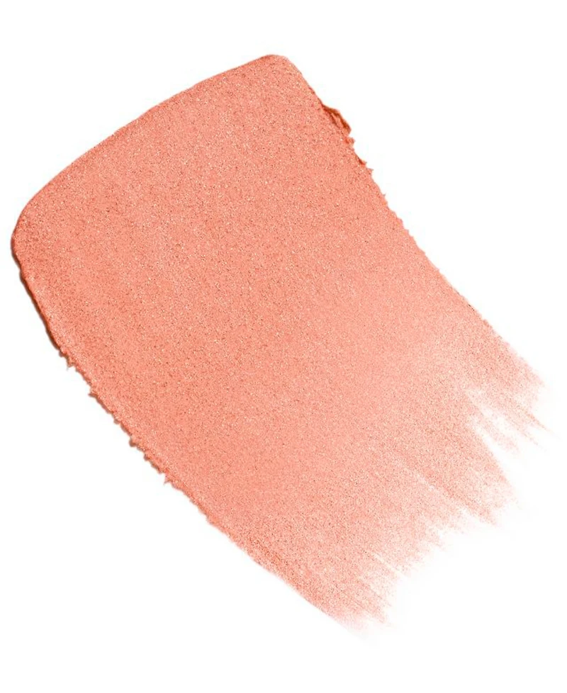 LES BEIGES Healthy Glow Sheer Color Stick