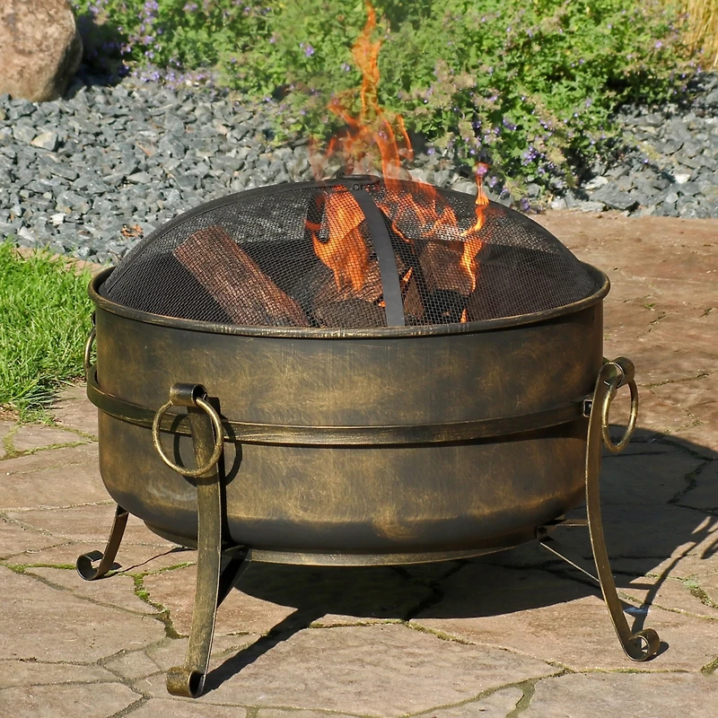 Outdoor Camping or Backyard Round Cauldron Fire Pit with Spark Screen, Log Poker