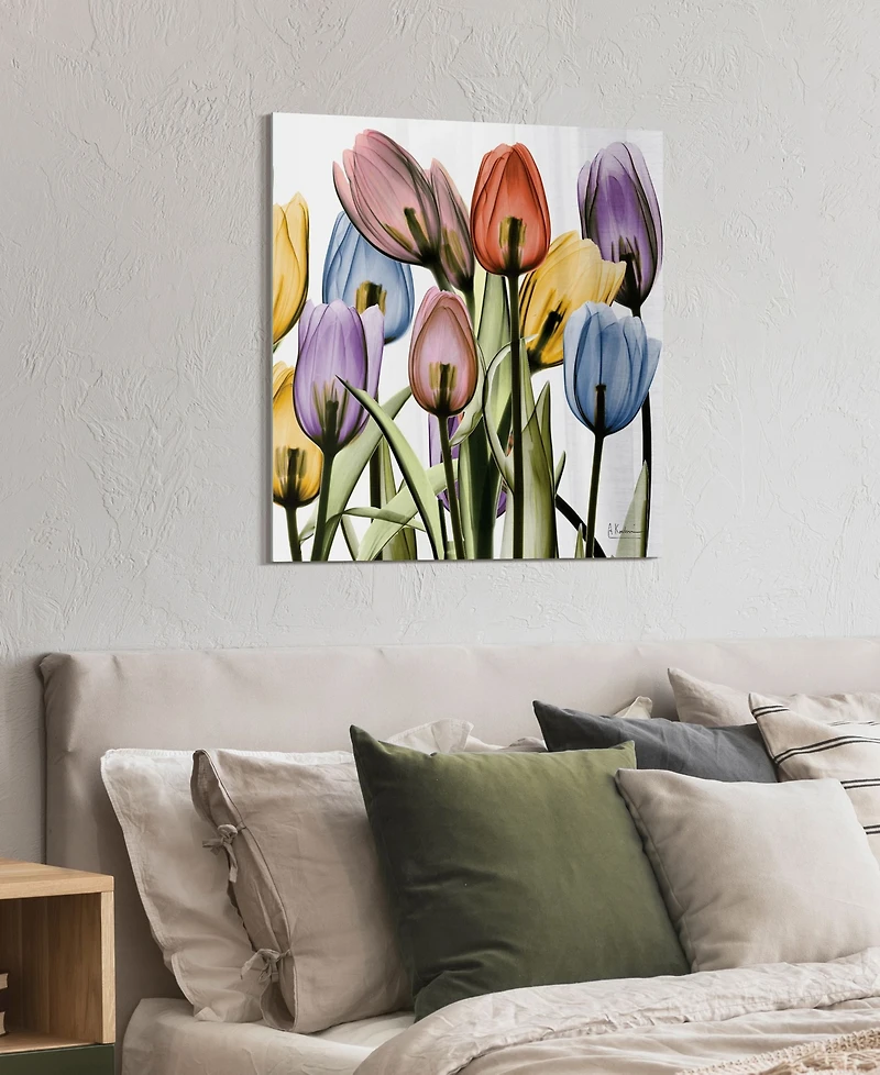 Empire Art Direct Tulip Scape x-ray Ii Frameless Free Floating Tempered Glass Panel Graphic Wall Art, 24" x 24" x 0.2"