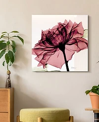 Empire Art Direct Chianti Rose I Frameless Free Floating Tempered Glass Panel Graphic Wall Art, 24" x 24" x 0.2"