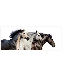 Empire Art Direct Trilogy 1 Frameless Free Floating Tempered Glass Panel Graphic Wall Art, 24" x 63" x 0.2"