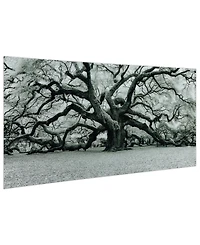Empire Art Direct Growth Frameless Free Floating Tempered Art Glass Wall Art by Ead Art Coop, 36" x 72" x 0.2"