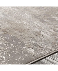 Surya Solar Sor-2300 Taupe 3' x 8' Runner Area Rug