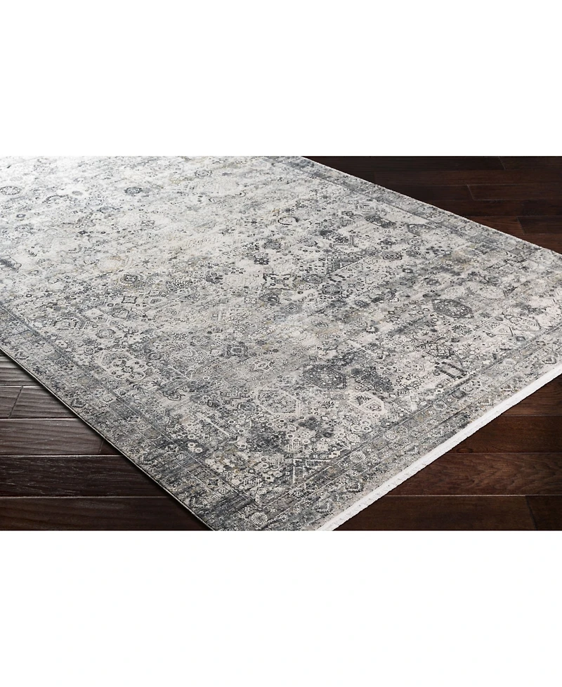 Surya Solar Sor-2313 Gray 3' x 8' Runner Area Rug
