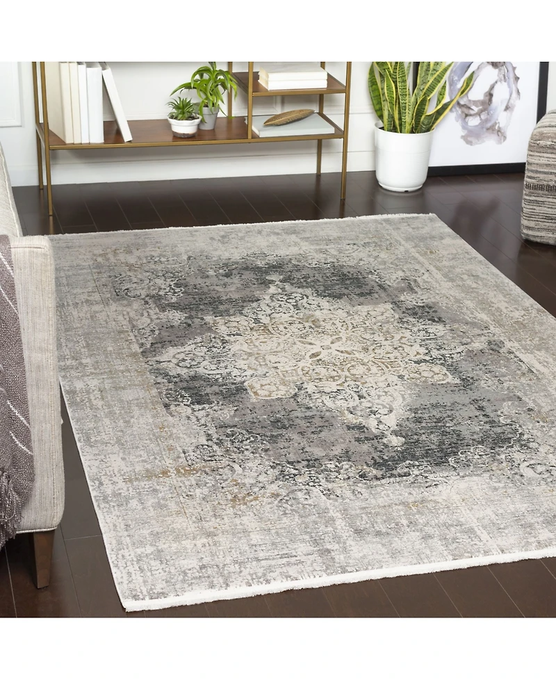 Surya Solar Sor-2305 Charcoal 2' x 3' Area Rug